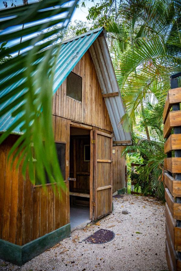 Pura Vida Mini Hostel Santa Teresa Playa Santa Teresa  Bagian luar foto