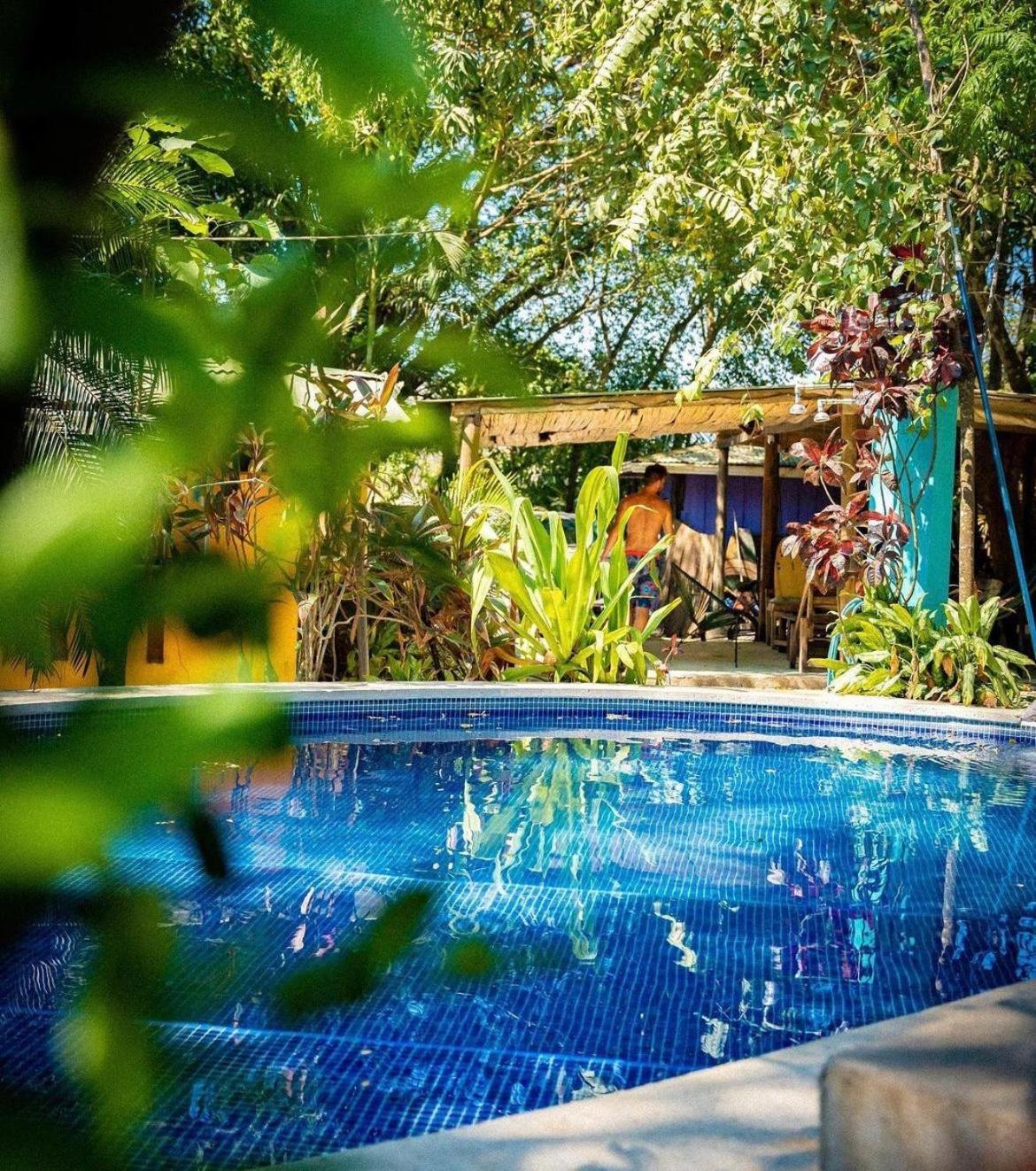 Pura Vida Mini Hostel Santa Teresa Playa Santa Teresa  Bagian luar foto